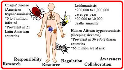 Editorial: Discovery and Development of Drugs for Neglected Diseases: Chagas Disease, Human African Trypanosomiasis, and Leishmaniasis